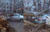 В Ростове упавшее дерево смяло два автомобиля‍ на улице Зорге