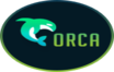 Виртуальное casino Orca88: специфика и достоинства