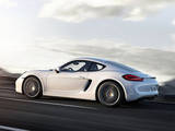 Porsche готовит к выпуску экстремальный Cayman