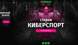 Главные особенности букмекерской конторы Gorilla