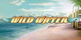 Игровой автомат Wild Water в Биткоин казино: основные параметры
