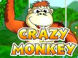 Бонусные раунды и игра на риск в онлайн слоте Crazy Monkey 777