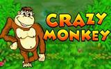 Как заработать на автомобиль в казино Адмирал с помощью автомата Crazy Monkey