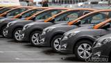Столичные автоледи все чаще выбирают каршеринг Столичные автоледи все чаще выбирают каршеринг