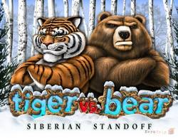 Особенности игрового аппарата Tiger vs Bear в казино Вулкан