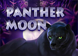 Panther moon игровые автоматы автоматы игровые бесплатно играть золотоискатели