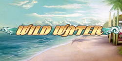Игровой процесс автомата Wild Water с зеркала Вулкана