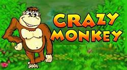 Отличия видеослота Crazy Monkey от других автоматов из казино Вулкан