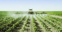 Виды садовых опрыскивателей