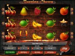 Обзор игрового слота Burning Cherry HD от игрового заведения Чемпион