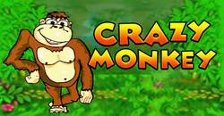 Черты геймплея игрового автомата Crazy Monkey из казино Эльдорадо