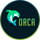 Виртуальное casino Orca88: специфика и достоинства
