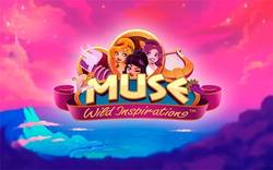 Коэффициенты символов аппарата Muse Wild Inspiration с Вулкана