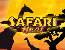 Символика слота Safari Heat на сайте казино Вулкан